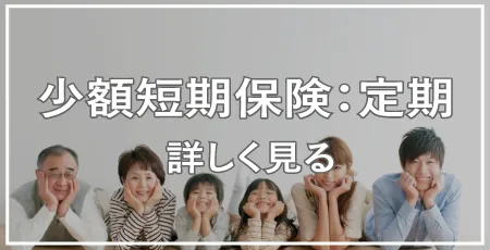 少額短期保険を詳しく見る