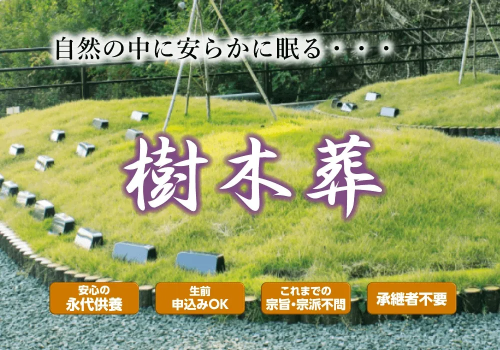 ドリーマー高知葬祭TOP画像