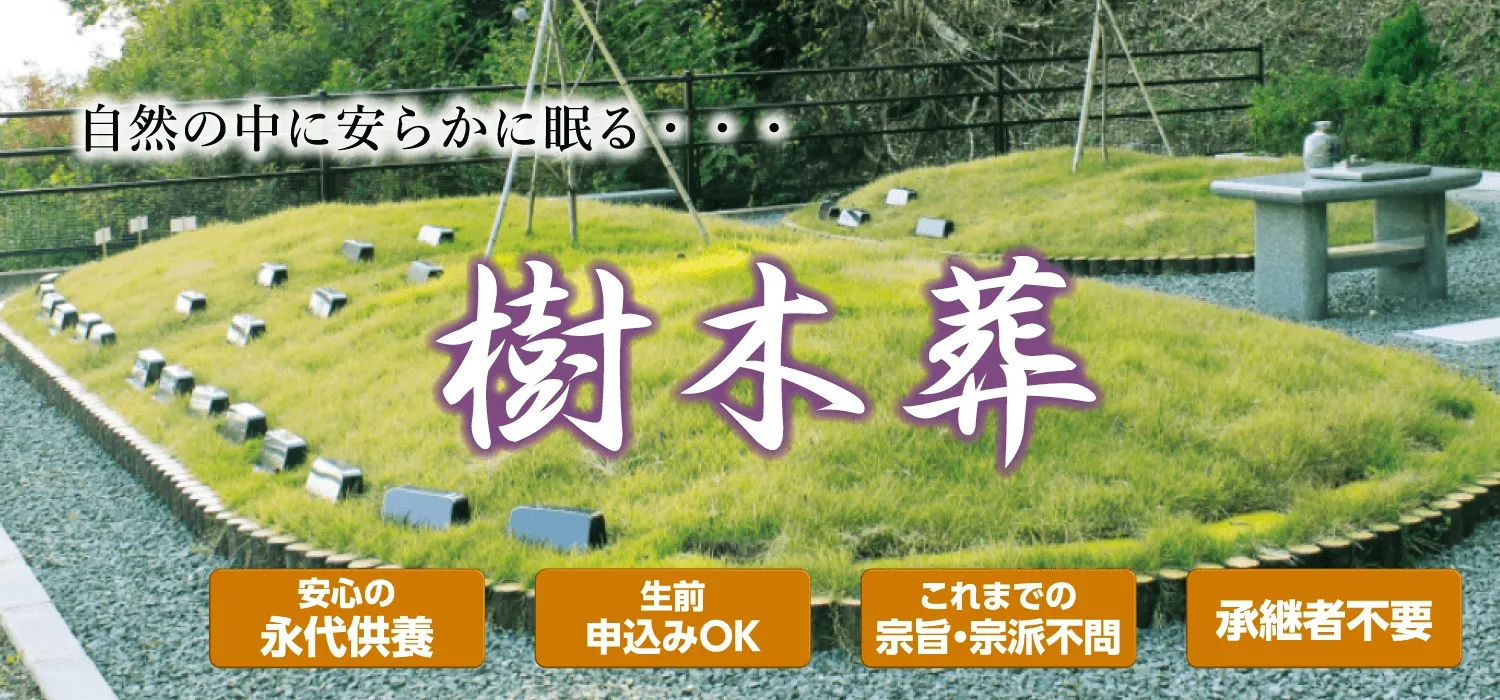 ドリーマー高知葬祭TOP画像